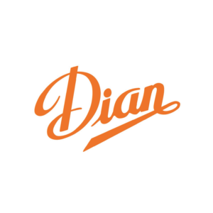 logo_dian-300x300 (1)